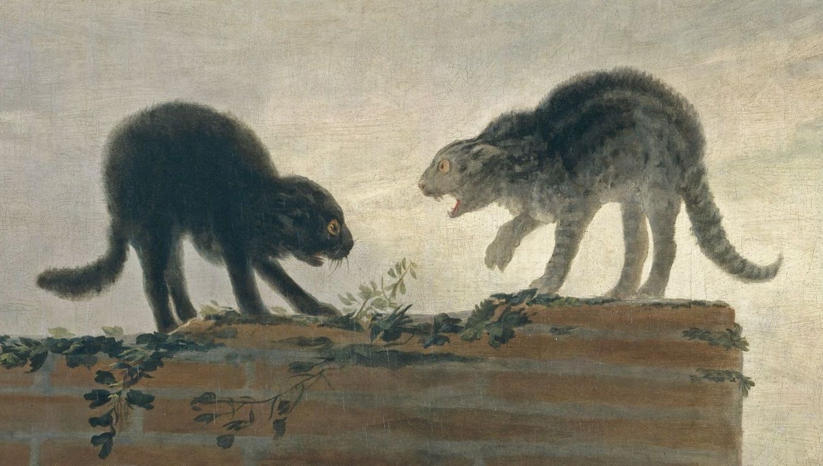 gatosdegoya
