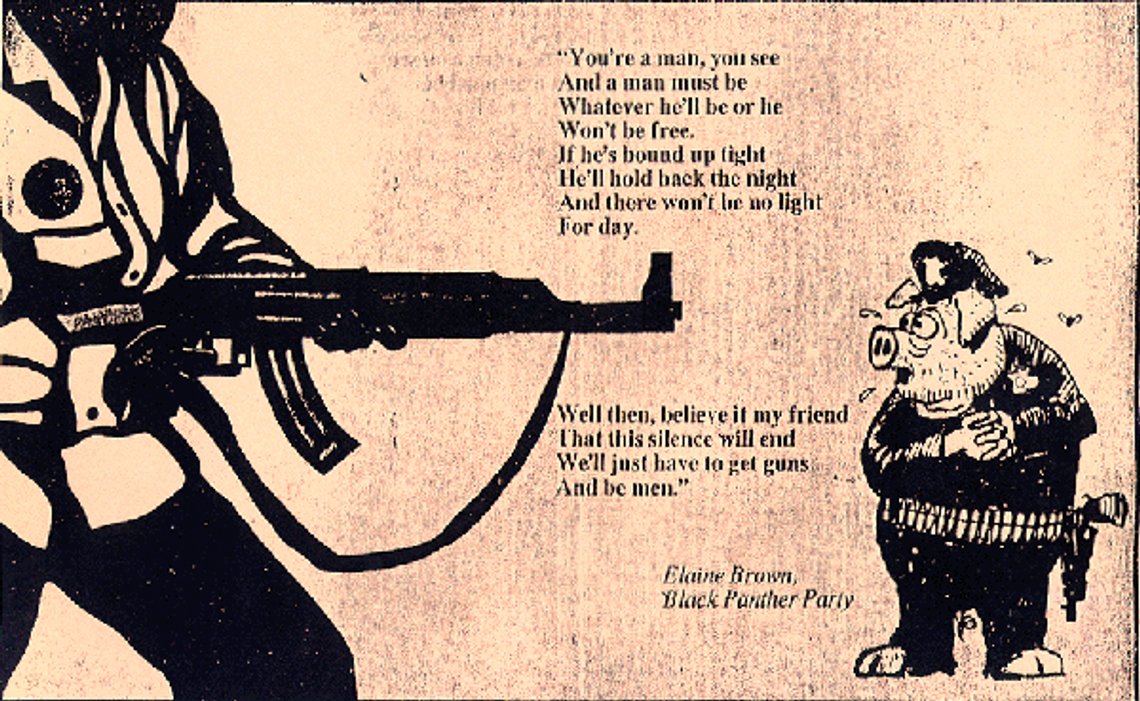 black.panther.party