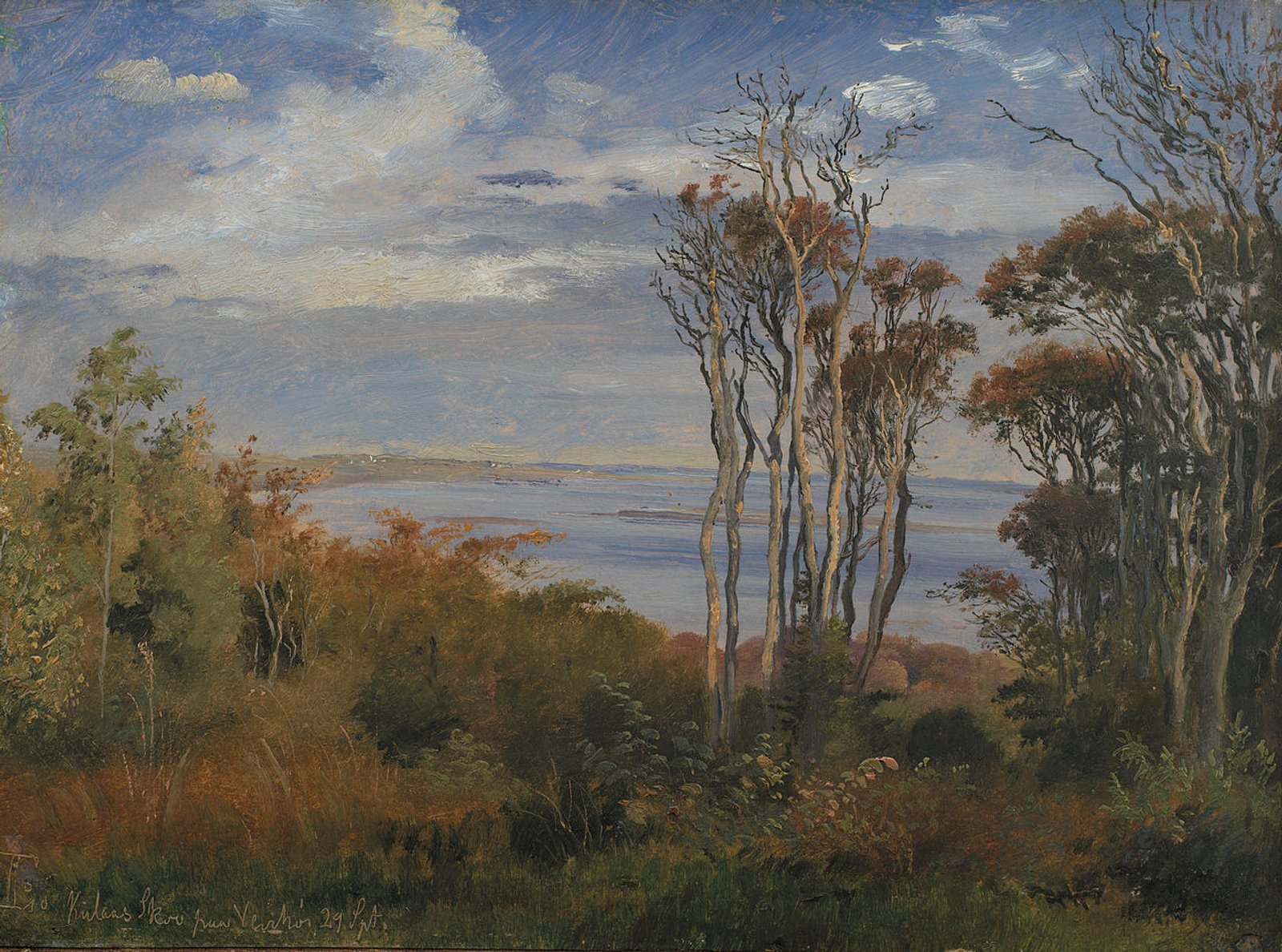 1280px-Kolås_Skov_på_Vejrhøj