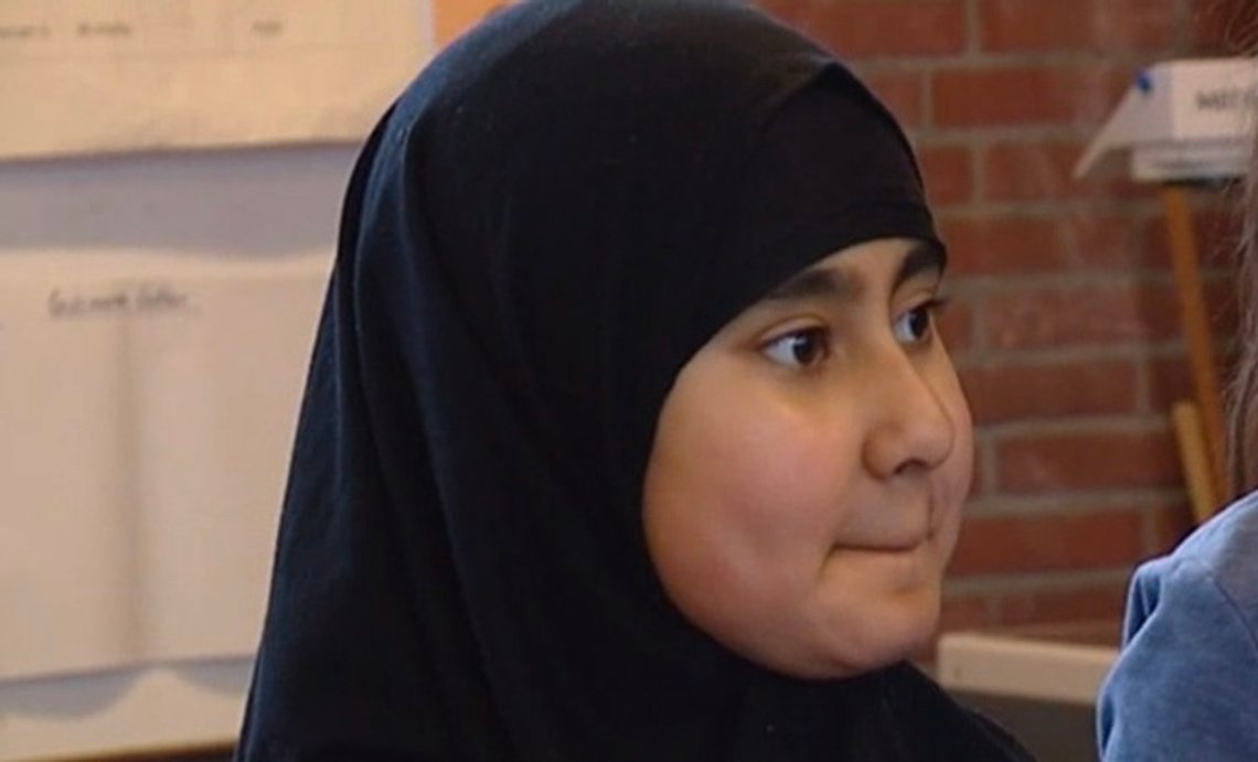 skærmdump skærmdump