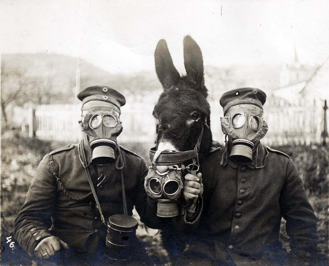 Two German soldiers and their mule wearing gas masks, 1916 Two German soldiers and their mule wearing gas masks, 1916