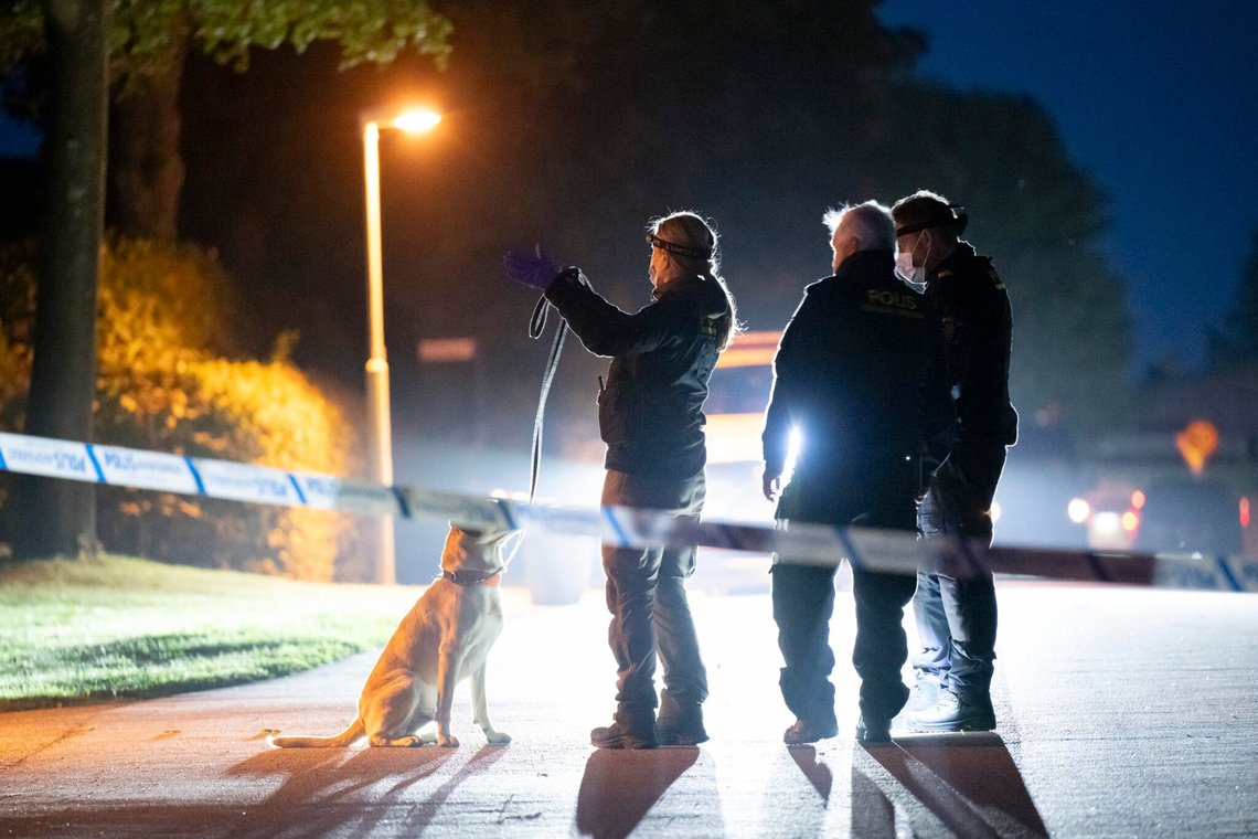 SKURUP 2024-08-11 Politi med specialsøgningshund og kriminalteknikere arbejder inden for afspærringen i et boligområde i det centrale Skurup efter en alarm om skyderi natten til søndag. I løbet af natten meddelte politiet på deres hjemmeside, at en mand i 50'erne var død efter skyderiet. Foto: Johan Nilsson / TT / Kode 50090 SKURUP 2024-08-11 Politi med specialsøgningshund og kriminalteknikere arbejder inden for afspærringen i et boligområde i det centrale Skurup efter en alarm om skyderi natten til søndag. I løbet af natten meddelte politiet på deres hjemmeside, at en mand i 50'erne var død efter skyderiet. Foto: Johan Nilsson / TT / Kode 50090