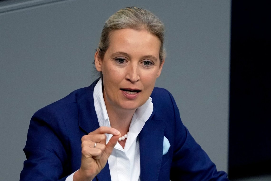 Som kvinde med en doktorgrad er AfD-leder Alice Weidel en lidt atypisk AfD-vælger, selv om partiet klarer sig godt i de fleste sociale grupper. Foto: Markus Schreiber / AP / NTB. Som kvinde med en doktorgrad er AfD-leder Alice Weidel en lidt atypisk AfD-vælger, selv om partiet klarer sig godt i de fleste sociale grupper. Foto: Markus Schreiber / AP / NTB.