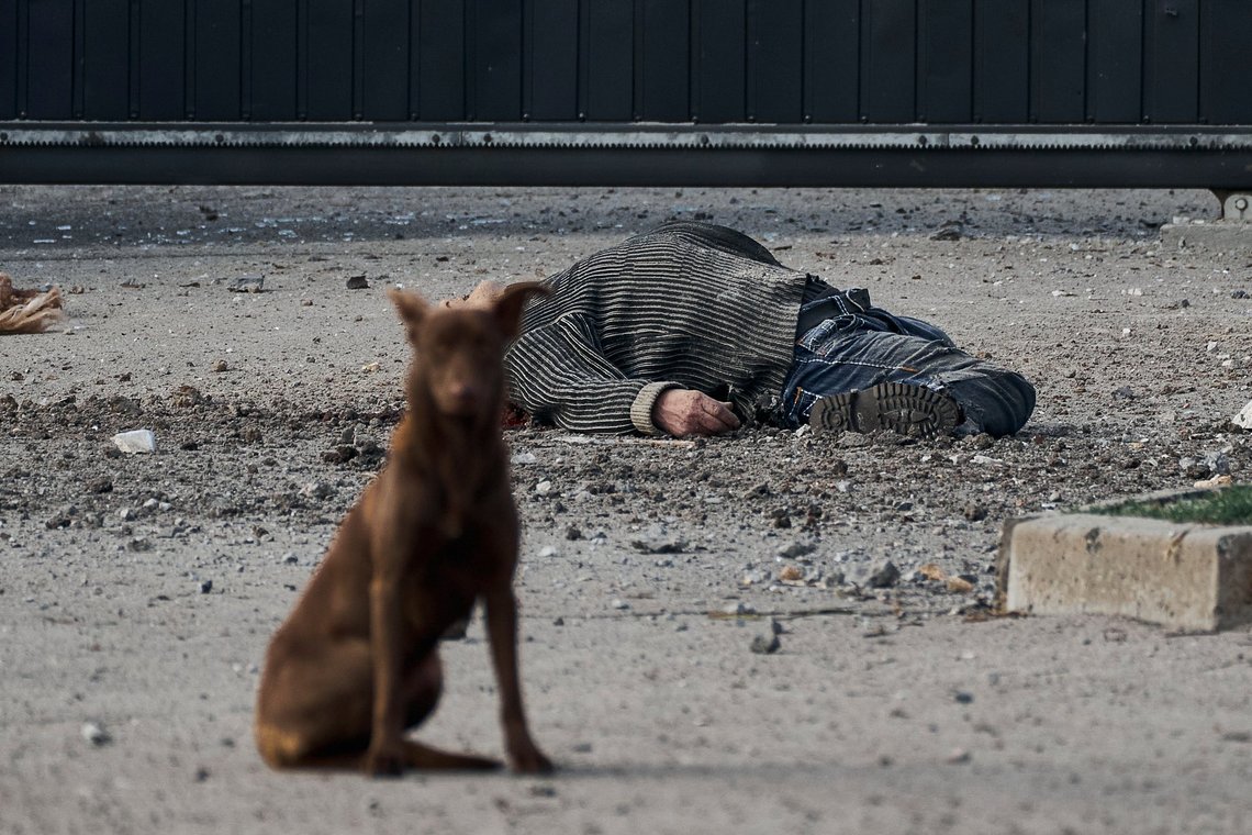 A stray dog sits near the dead body of a local citizen, killed in Russian shelling that hit an industrial area in Kherson, Ukraine, Friday, Feb. 3, 2023. (AP Photo/Libkos) A stray dog sits near the dead body of a local citizen, killed in Russian shelling that hit an industrial area in Kherson, Ukraine, Friday, Feb. 3, 2023. (AP Photo/Libkos)