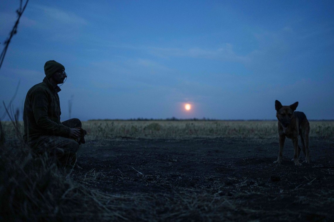A Ukrainian serviceman of the 110th brigade pets dogs on his position at the frontline on Pokrovsk direction, Donetsk region, Ukraine, Wednesday, Sept. 18, 2024. (AP Photo/Evgeniy Maloletka) A Ukrainian serviceman of the 110th brigade pets dogs on his position at the frontline on Pokrovsk direction, Donetsk region, Ukraine, Wednesday, Sept. 18, 2024. (AP Photo/Evgeniy Maloletka)