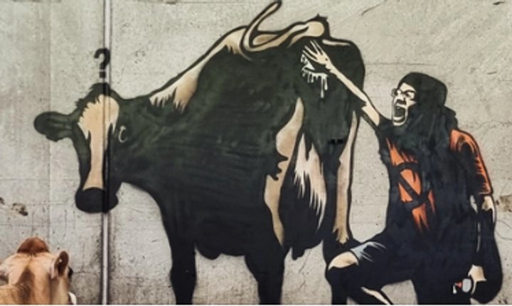 Herikstad gård uden for Bryne på Jæren har fået et nyt kunstværk i liggebåsen. «Blame the cows, save the planet», er budskabet fra kunstneren Pøbel. Baggrunden er en voksende oprør mod bruken af tislkuddet Bovaer for at reducere udledningen af metan fra storfe. Foto: Pøbel/ Facebook