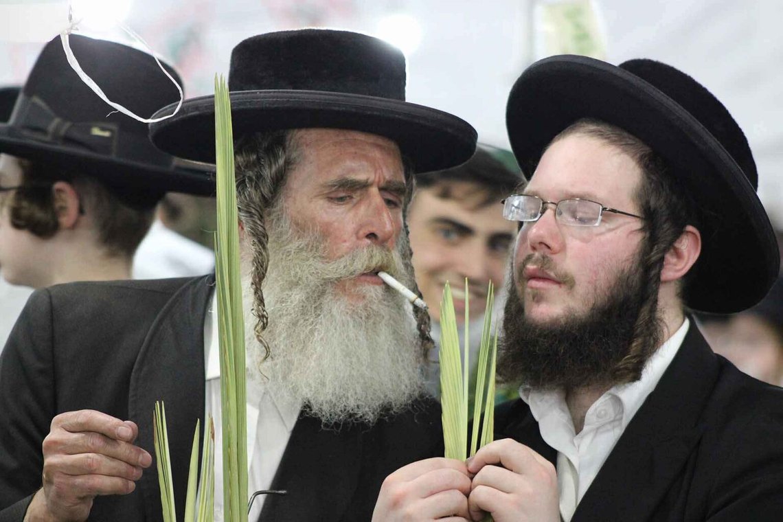 Ortodokse jøder i Jerusalem inspicerer en lulav i forventning om Sukkot. Illustrationsfoto: Duvid Halevi CC BY-SA 4.0 Ortodokse jøder i Jerusalem inspicerer en lulav i forventning om Sukkot. Illustrationsfoto: Duvid Halevi CC BY-SA 4.0