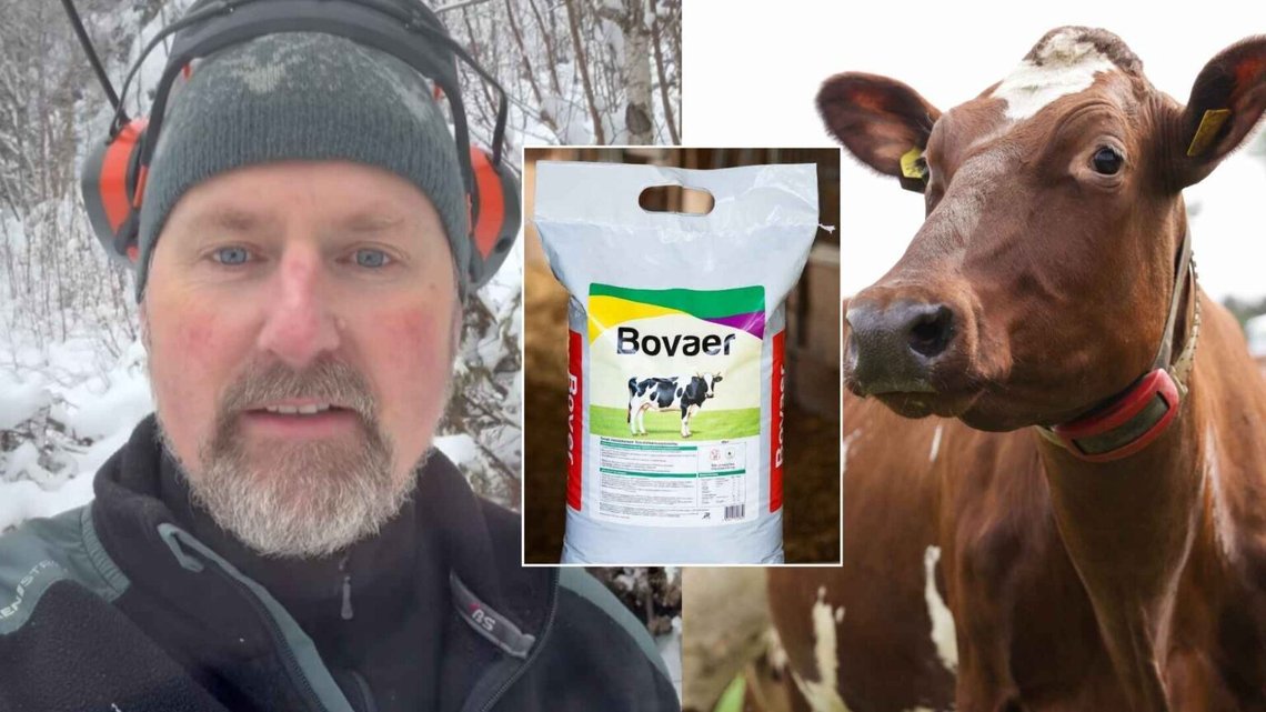 ANMELDT: Folkebevægelsen mod metanhæmmere indgiver en politianmeldelse til den norske fødevaretilsynsmyndighed og anmelder en overtrædelse af dyrevelfærdsloven og "greenwashing" til Økokrim. Foto: Privat/Illustrationsbillede ANMELDT: Folkebevægelsen mod metanhæmmere indgiver en politianmeldelse til den norske fødevaretilsynsmyndighed og anmelder en overtrædelse af dyrevelfærdsloven og "greenwashing" til Økokrim. Foto: Privat/Illustrationsbillede