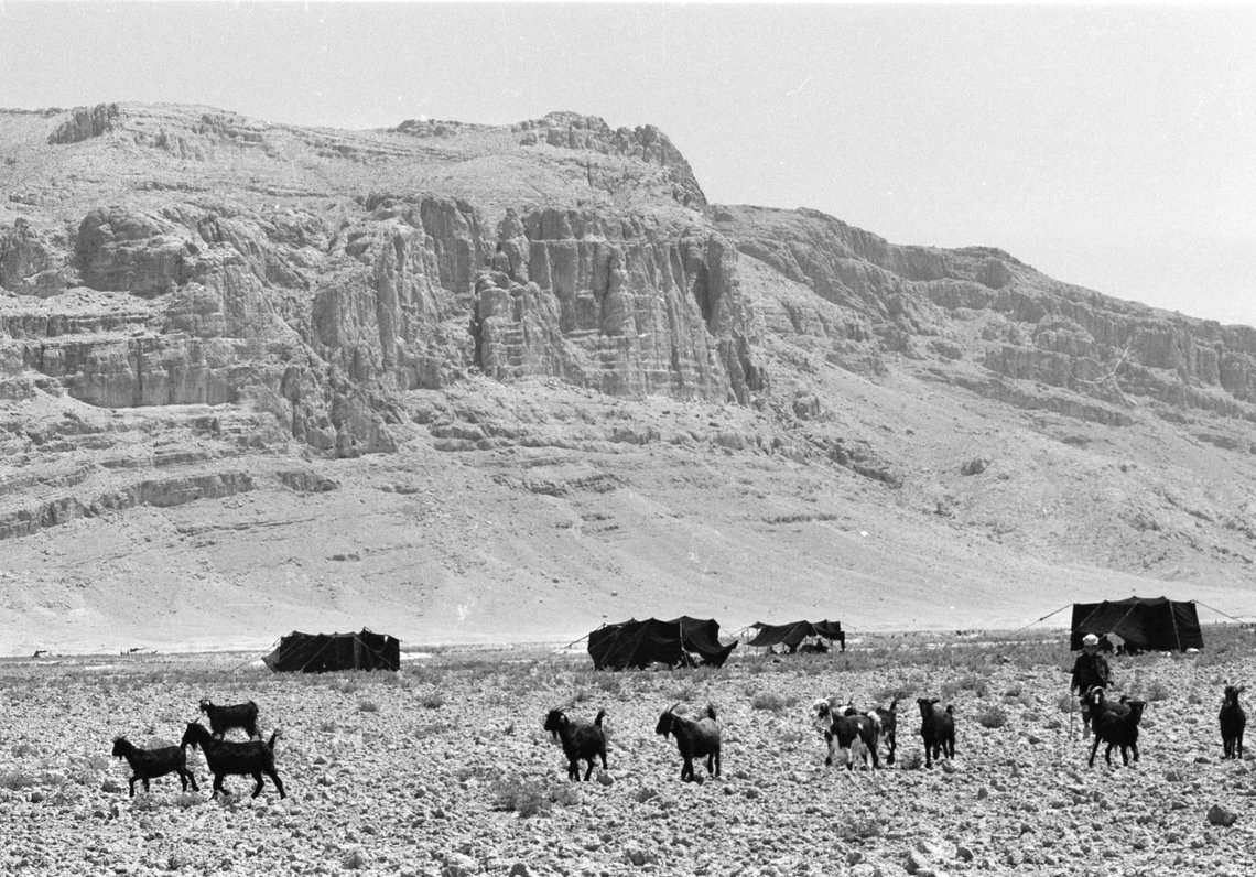 Bakhtiari herdsmen set up their black goats' hair tents at the foot of a mountain in the Zagros range, Iran, Sept. 28, 1971. They will graze their sheep and goats for a few days, then move on. This site is only two miles from the ruins of the ancient capitol of Persia, Persepolis. (AP Photo/Horst Faas) Bakhtiari herdsmen set up their black goats' hair tents at the foot of a mountain in the Zagros range, Iran, Sept. 28, 1971. They will graze their sheep and goats for a few days, then move on. This site is only two miles from the ruins of the ancient capitol of Persia, Persepolis. (AP Photo/Horst Faas)