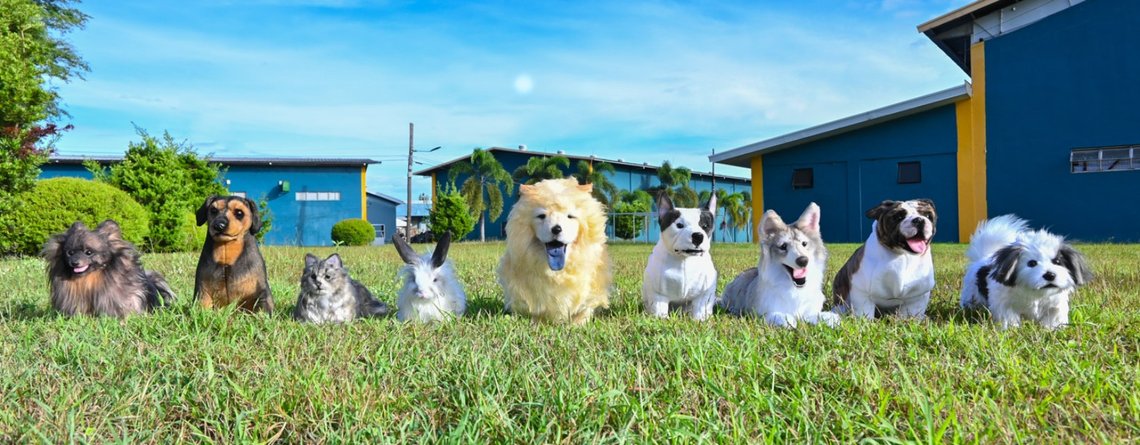 The Pampanga Teddy Bear Factory in the Philippines can create a lifelike replica of your dead pet. Screenshot from Facebook The Pampanga Teddy Bear Factory in the Philippines can create a lifelike replica of your dead pet. Screenshot from Facebook