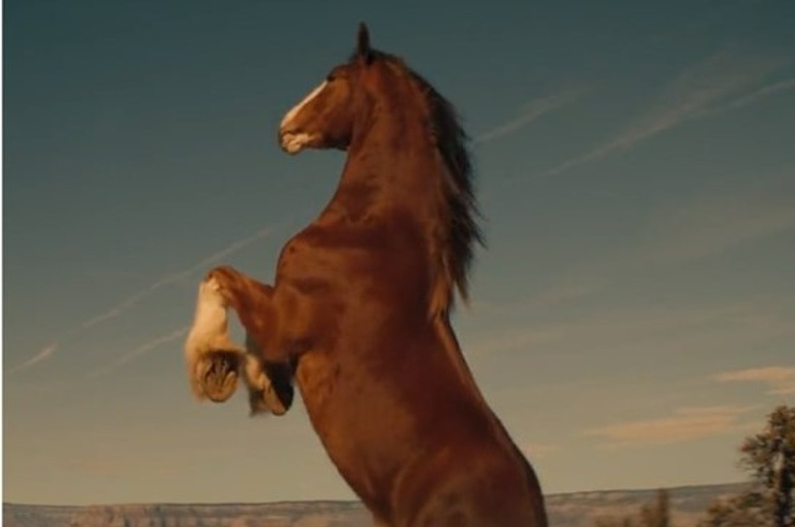 Budweiser's new commercial. Photo from Twitter. Budweiser's new commercial. Photo from Twitter.