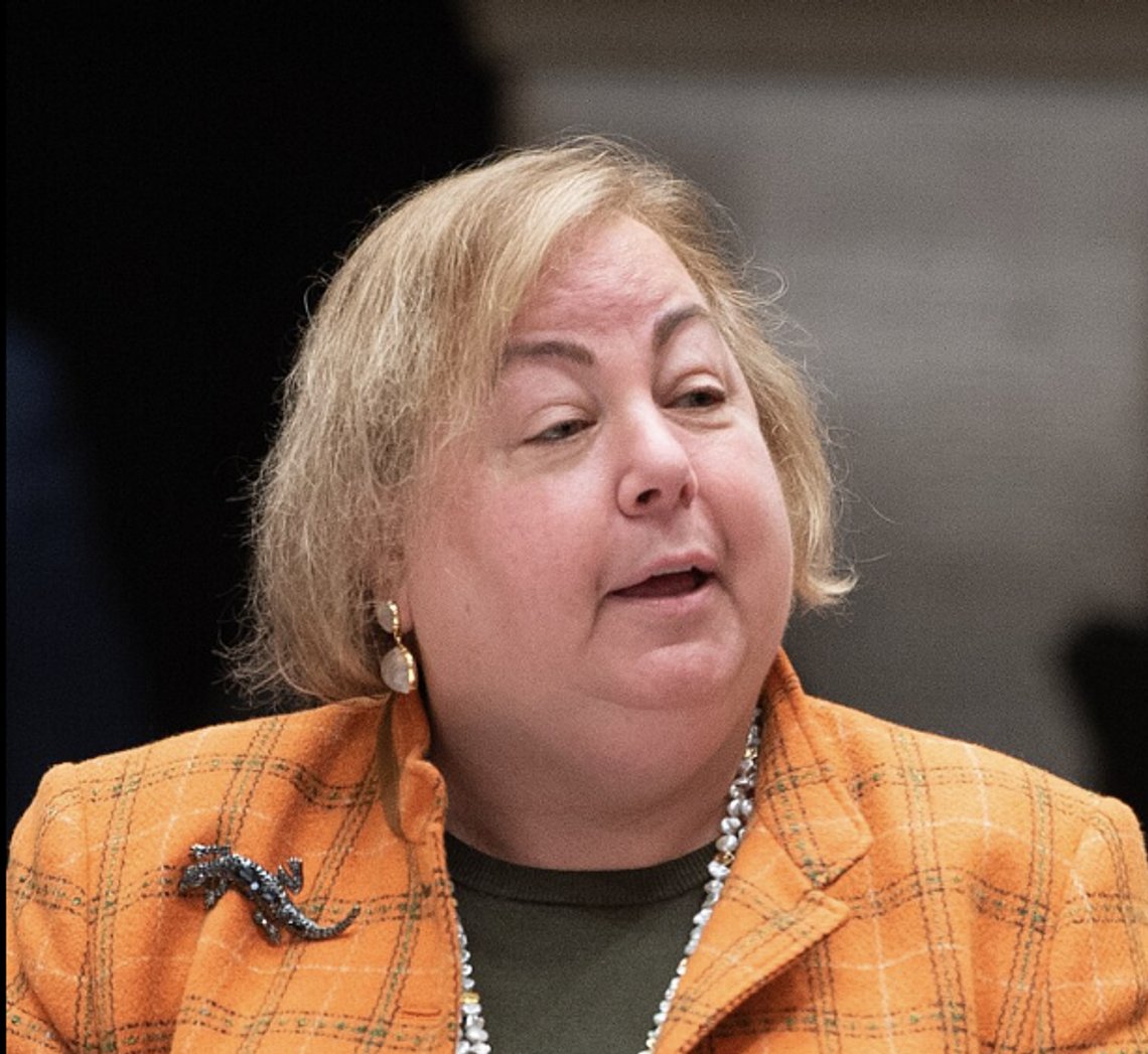 Liz Krueger (D) is proposing the secession of four states from the US to avoid being governed by Donald Trump. Photo: New York Senate Photo/CC BY 2.0/Wikimedia Liz Krueger (D) is proposing the secession of four states from the US to avoid being governed by Donald Trump. Photo: New York Senate Photo/CC BY 2.0/Wikimedia