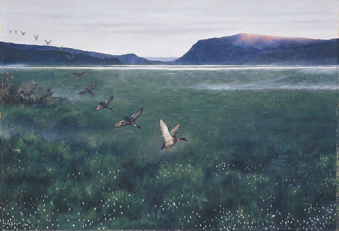 Theodor Severin Kittelsen – 12 Wild Ducks (1897) Theodor Severin Kittelsen – 12 Wild Ducks (1897)