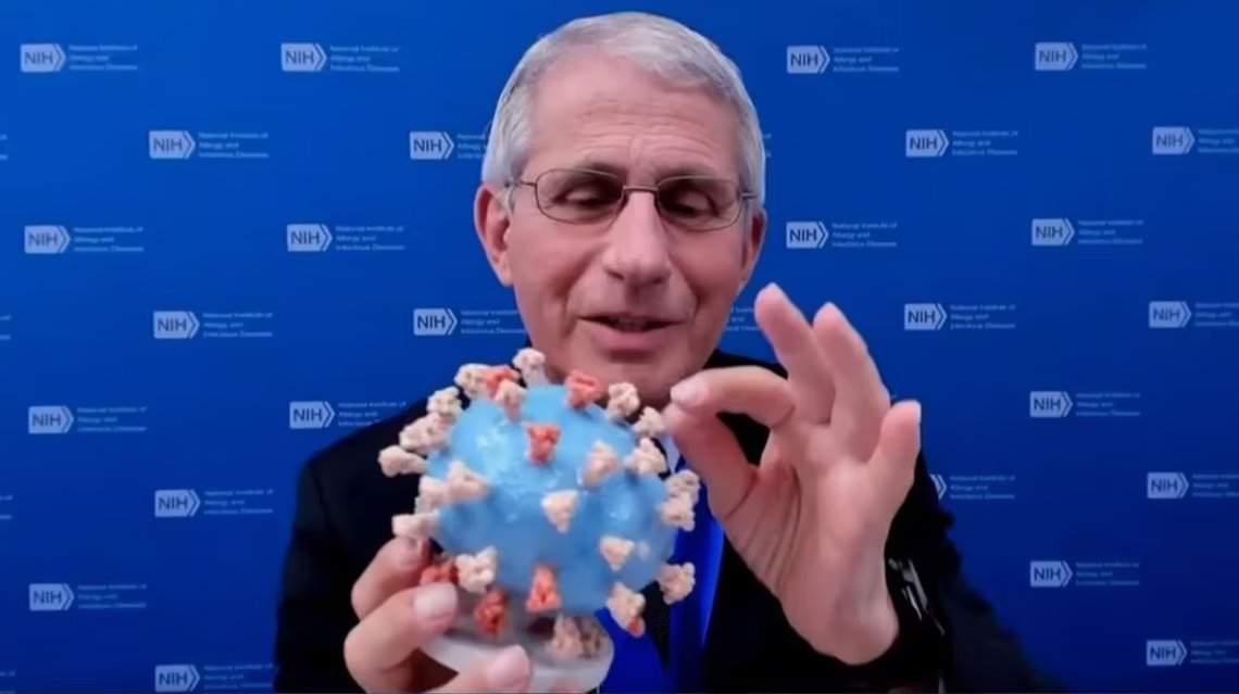 Dr. Anthony Fauci holds a 3D-printed model of the coronavirus as he speaks during an event. Photo: National Institutes of Health / Public Domain Dr. Anthony Fauci holds a 3D-printed model of the coronavirus as he speaks during an event. Photo: National Institutes of Health / Public Domain