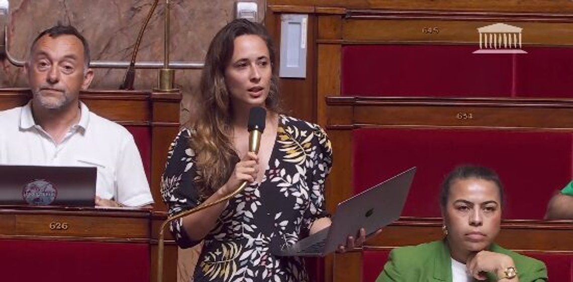 Clémence Guetté of La France Insoumise celebrated in the National Assembly that ethnic French people will soon become a minority in France. Still from X / Fdesouche.com Clémence Guetté of La France Insoumise celebrated in the National Assembly that ethnic French people will soon become a minority in France. Still from X / Fdesouche.com