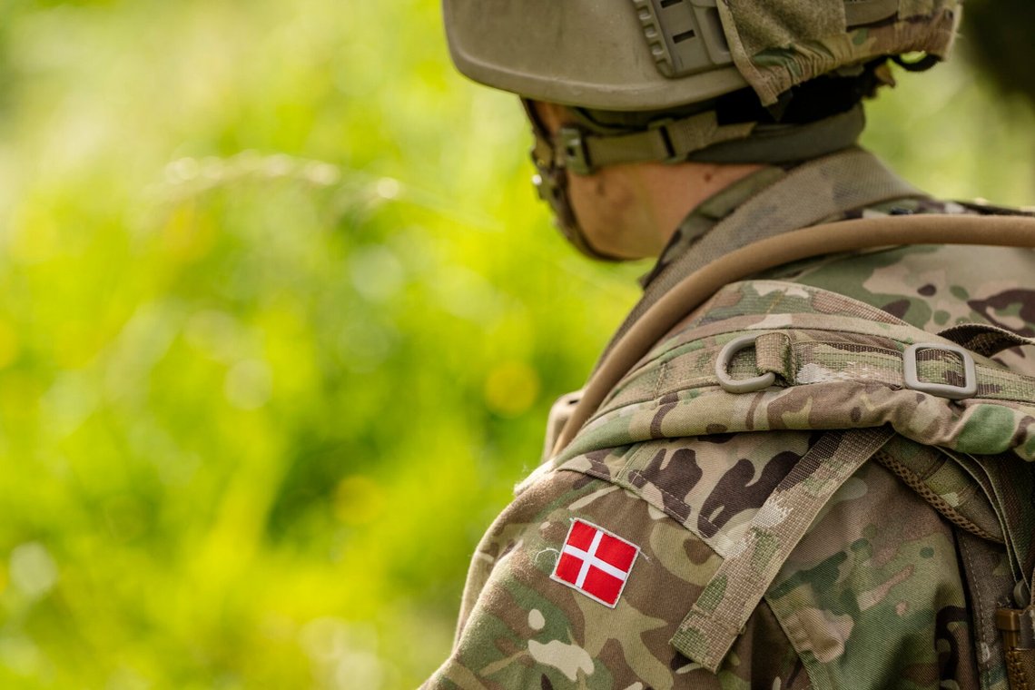 Danish conscript from the Royal Life Guards. Danish conscript from the Royal Life Guards.