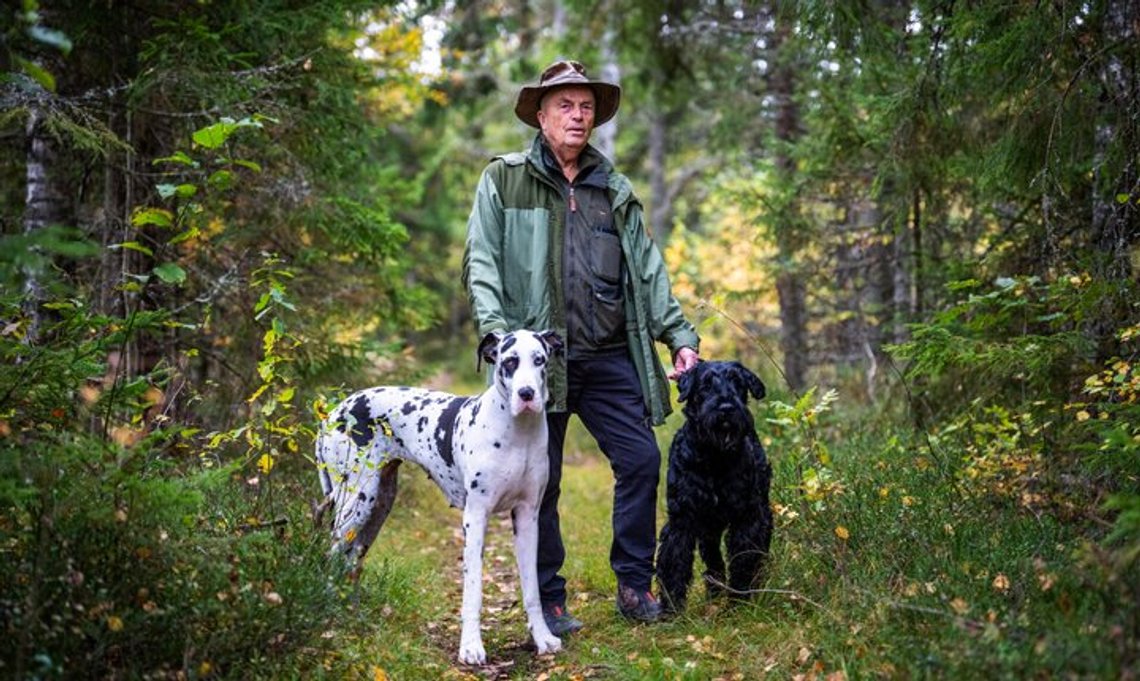 Hans Rustad, founder and editor of the national-conservative online newspaper Document.no. Here he is out walking with his two dogs while also recording ‘Skogpod’, which is published almost daily. Hans Rustad, founder and editor of the national-conservative online newspaper Document.no. Here he is out walking with his two dogs while also recording ‘Skogpod’, which is published almost daily.