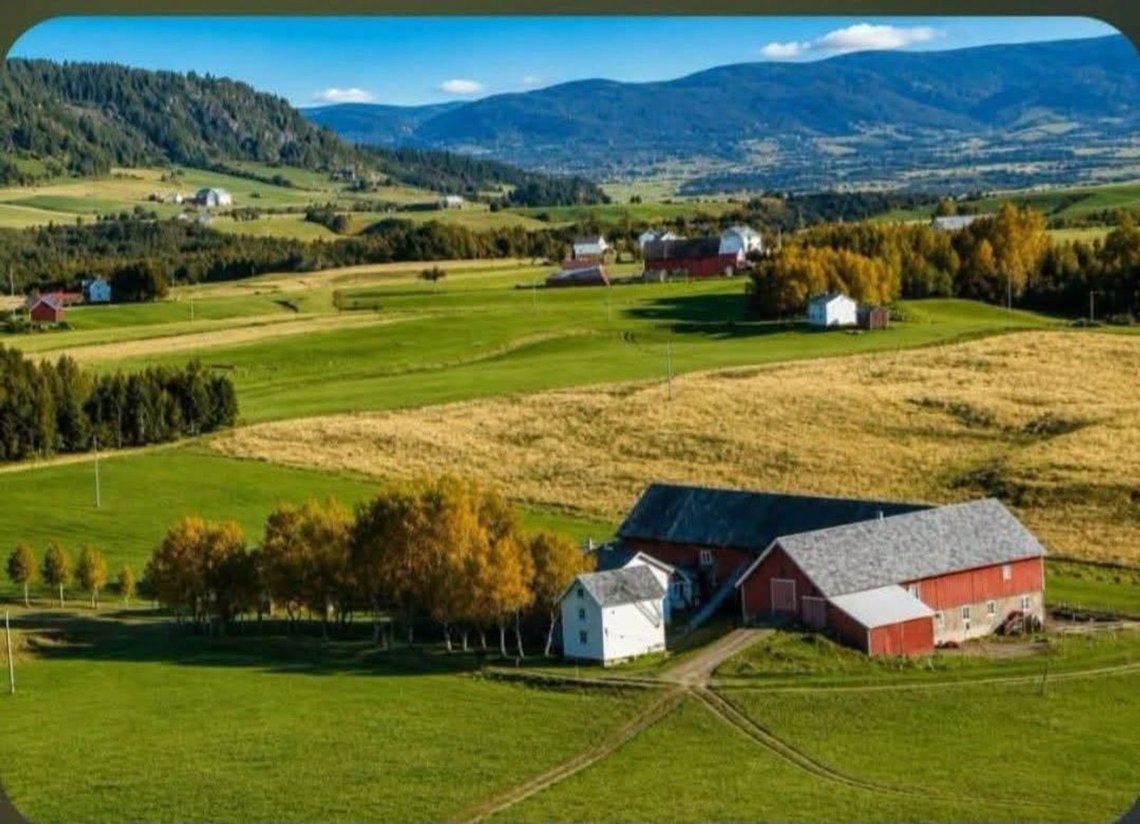 The farm belongs to Jens Petter Haug, who writes on Facebook: I run a farm producing only grain crops. I fill up the diesel tanks every autumn, and in just one year that cost has risen by NOK 100,000 – an increase of almost 70 per cent. This comes straight off the bottom line, reducing my net income by the same amount. And from the New Year, diesel will also be subject to a CO₂ tax. I use propane to heat the chicken sheds, and that has already been subject to a 50 per cent CO₂ levy for some time. On top of that, we are now required to use a climate calculator on the farm, and if it shows a negative result, we will have to pay another levy. The absurd thing is that we are not allowed to count anything that contributes positively to our carbon footprint. And the Norwegian Farmers’ Union endorses this idiocy. I’ve cancelled my membership.” The farm belongs to Jens Petter Haug, who writes on Facebook: I run a farm producing only grain crops. I fill up the diesel tanks every autumn, and in just one year that cost has risen by NOK 100,000 – an increase of almost 70 per cent. This comes straight off the bottom line, reducing my net income by the same amount. And from the New Year, diesel will also be subject to a CO₂ tax. I use propane to heat the chicken sheds, and that has already been subject to a 50 per cent CO₂ levy for some time. On top of that, we are now required to use a climate calculator on the farm, and if it shows a negative result, we will have to pay another levy. The absurd thing is that we are not allowed to count anything that contributes positively to our carbon footprint. And the Norwegian Farmers’ Union endorses this idiocy. I’ve cancelled my membership.”