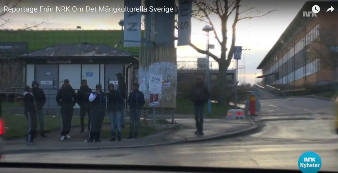 NRK reportasje fra Husby3
