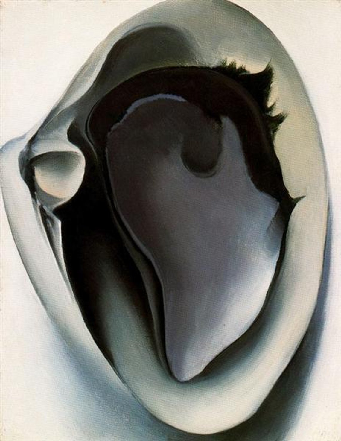 Georgia O’Keeffe.clam-and-mussel.jpg!Large