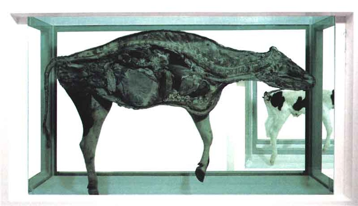 Damien Hirst "Mother" er "gammel", men representerer likevel det nihilistiske i dagens kunst. Astrup Fearnley Museet. Foto: Document Damien Hirst "Mother" er "gammel", men representerer likevel det nihilistiske i dagens kunst. Astrup Fearnley Museet. Foto: Document