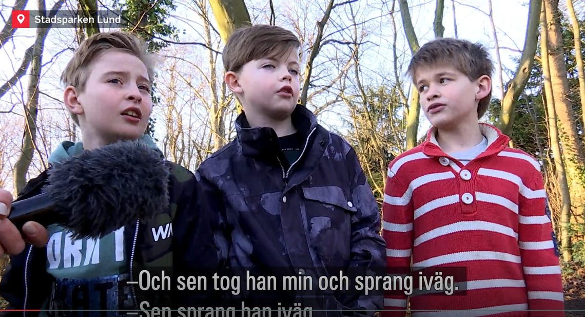 Skjermdump, SVT Skjermdump, SVT