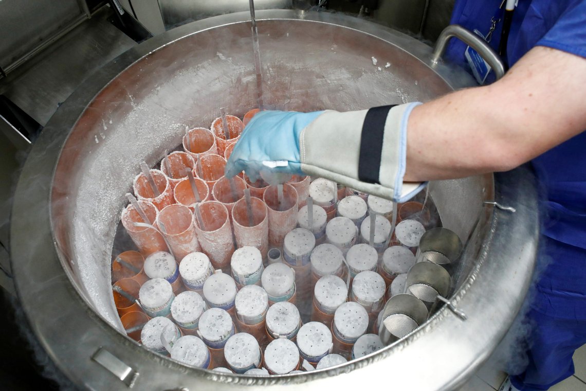 A medical technician prepares embryo and sperm samples for freezing at the Laboratory of Reproductive Biology CECOS of Tenon Hospital in Paris, France, September 19, 2019. Picture taken September 19, 2019. REUTERS/Benoit Tessier A medical technician prepares embryo and sperm samples for freezing at the Laboratory of Reproductive Biology CECOS of Tenon Hospital in Paris, France, September 19, 2019. Picture taken September 19, 2019. REUTERS/Benoit Tessier