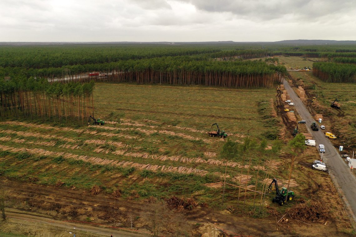 Workers cut trees at the area where U.S. electric vehicle pioneer Tesla plans to build a Tesla Gigafactory in Gruenheide near Berlin, Germany February 21, 2020. REUTERS/Daniel Koppelkamm NO RESALES. NO ARCHIVES Workers cut trees at the area where U.S. electric vehicle pioneer Tesla plans to build a Tesla Gigafactory in Gruenheide near Berlin, Germany February 21, 2020. REUTERS/Daniel Koppelkamm NO RESALES. NO ARCHIVES