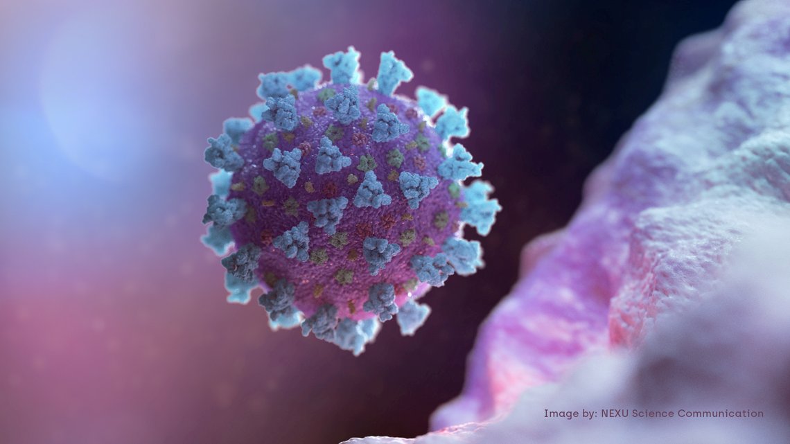 A computer image created by Nexu Science Communication together with Trinity College in Dublin, shows a model structurally representative of a betacoronavirus which is the type of virus linked to COVID-19, better known as the coronavirus linked to the Wuhan outbreak, shared with Reuters on February 18, 2020. NEXU Science Communication/via REUTERS THIS IMAGE HAS BEEN SUPPLIED BY A THIRD PARTY. MANDATORY CREDIT. TPX IMAGES OF THE DAY A computer image created by Nexu Science Communication together with Trinity College in Dublin, shows a model structurally representative of a betacoronavirus which is the type of virus linked to COVID-19, better known as the coronavirus linked to the Wuhan outbreak, shared with Reuters on February 18, 2020. NEXU Science Communication/via REUTERS THIS IMAGE HAS BEEN SUPPLIED BY A THIRD PARTY. MANDATORY CREDIT. TPX IMAGES OF THE DAY