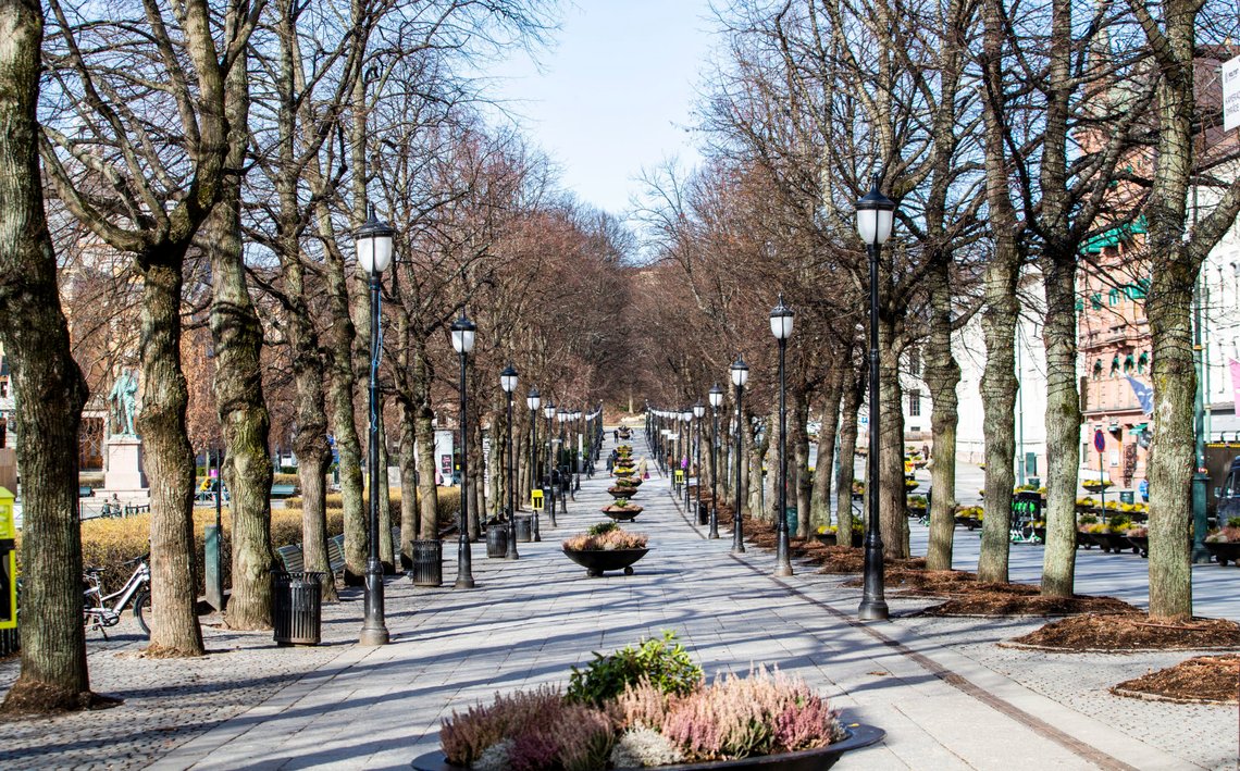 Oslo 20200313.
Karl Johans gate er nesten folketom i Oslo fredag, dagen etter Oslo kommune og regjeringen kom med strenge tiltak for å begrense koronasmitten.
Foto: Håkon Mosvold Larsen / NTB scanpix Oslo 20200313.
Karl Johans gate er nesten folketom i Oslo fredag, dagen etter Oslo kommune og regjeringen kom med strenge tiltak for å begrense koronasmitten.
Foto: Håkon Mosvold Larsen / NTB scanpix