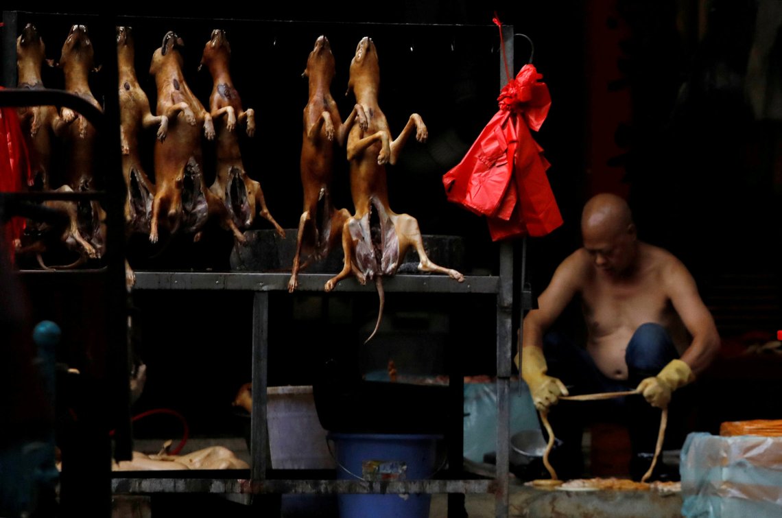 FILE PHOTO: Butchered dogs displayed for sale at a stall inside a meat market during the local dog meat festival, in Yulin, Guangxi Zhuang Autonomous Region, China June 21, 2018. REUTERS/Tyrone Siu - RC14BF299FD0/File Photo FILE PHOTO: Butchered dogs displayed for sale at a stall inside a meat market during the local dog meat festival, in Yulin, Guangxi Zhuang Autonomous Region, China June 21, 2018. REUTERS/Tyrone Siu - RC14BF299FD0/File Photo