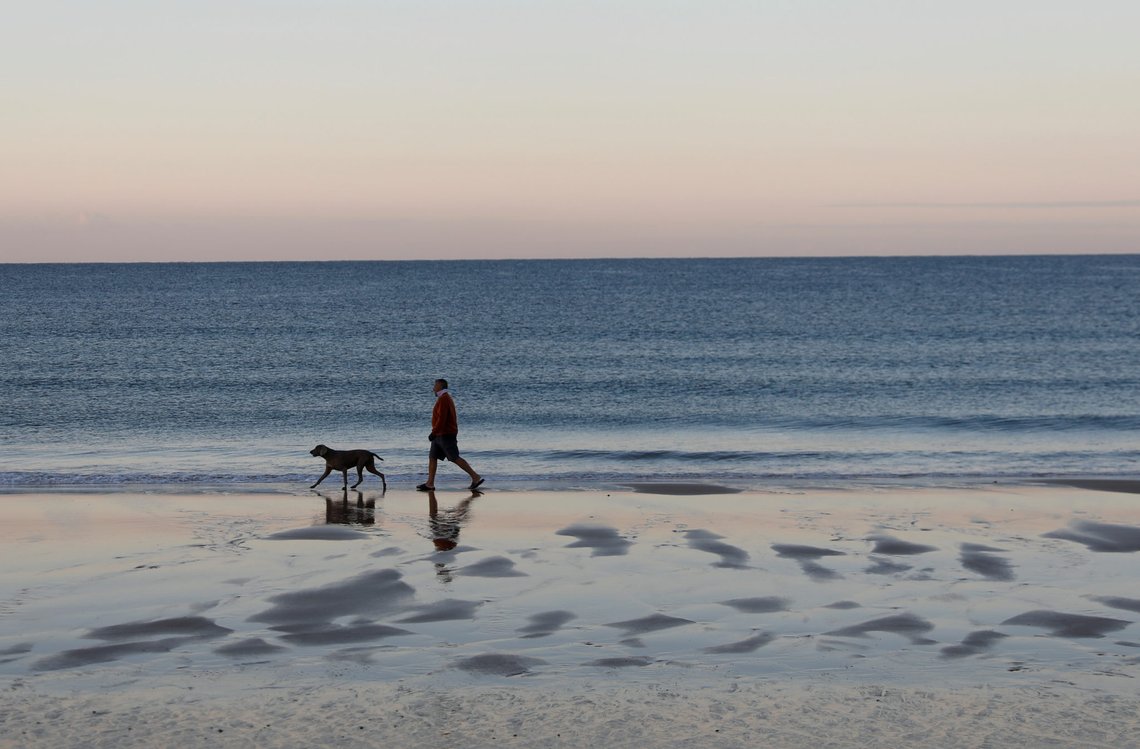 A man walks his dog at the Praia da Luz beach, Portugal, June 5, 2020. REUTERS/Rafael Marchante A man walks his dog at the Praia da Luz beach, Portugal, June 5, 2020. REUTERS/Rafael Marchante