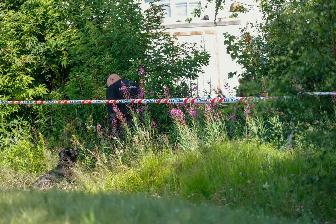 Askim 20200713.
Kripos søker med hund mandag formidag på et åsted, etter at en mann søndag kveld ble funnet død utenfor en bolig i Askim. Politiet anser dødsfallet som mistenkelig og har startet etterforskning.
Foto: Geir Olsen / NTB scanpix Askim 20200713.
Kripos søker med hund mandag formidag på et åsted, etter at en mann søndag kveld ble funnet død utenfor en bolig i Askim. Politiet anser dødsfallet som mistenkelig og har startet etterforskning.
Foto: Geir Olsen / NTB scanpix