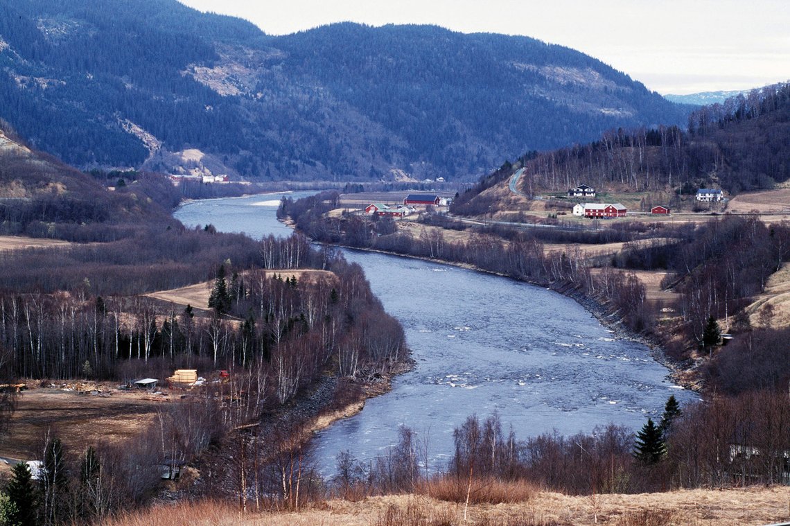 199604: Elven Gaula i Sør-Trøndelag . Her renner den gjennom Midtre Gauldal . NTB arkivfoto: Gorm Kallestad / SCANPIX 199604: Elven Gaula i Sør-Trøndelag . Her renner den gjennom Midtre Gauldal . NTB arkivfoto: Gorm Kallestad / SCANPIX