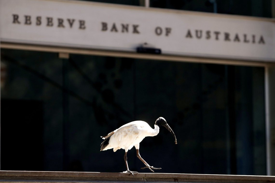 FILE PHOTO: An ibis bird perches next to the Reserve Bank of Australia headquarters in central Sydney, Australia February 6, 2018. REUTERS/Daniel Munoz/File Photo FILE PHOTO: An ibis bird perches next to the Reserve Bank of Australia headquarters in central Sydney, Australia February 6, 2018. REUTERS/Daniel Munoz/File Photo