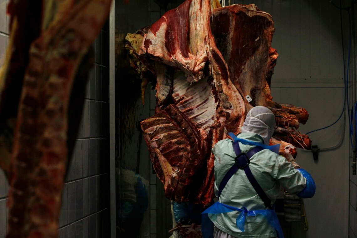 A slaughterer works with beef carcasses at the Biernacki Meat Plant slaughterhouse in Golina near Jarocin, western Poland July 17, 2013. The abattoir in this small town in western Poland has a special dormitory to house the more than 30 Jewish men designated by Israel's chief rabbi to oversee the production of kosher beef there. Poland exports 90 percent of its beef, a third of which was kosher or halal worth some 1 billion euros ($1.3 billion). But this booming industry has ground to a halt because, after a campaign by animal rights activists who say the method of slaughter is cruel, Poland's constitutional court banned the practice and this month its parliament rejected an amendment that would have allowed the slaughter to resume. Picture taken July 17, 2013. REUTERS/Kacper Pempel (POLAND - Tags: FOOD BUSINESS POLITICS) A slaughterer works with beef carcasses at the Biernacki Meat Plant slaughterhouse in Golina near Jarocin, western Poland July 17, 2013. The abattoir in this small town in western Poland has a special dormitory to house the more than 30 Jewish men designated by Israel's chief rabbi to oversee the production of kosher beef there. Poland exports 90 percent of its beef, a third of which was kosher or halal worth some 1 billion euros ($1.3 billion). But this booming industry has ground to a halt because, after a campaign by animal rights activists who say the method of slaughter is cruel, Poland's constitutional court banned the practice and this month its parliament rejected an amendment that would have allowed the slaughter to resume. Picture taken July 17, 2013. REUTERS/Kacper Pempel (POLAND - Tags: FOOD BUSINESS POLITICS)
