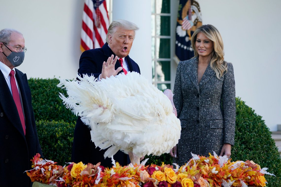 President Donald Trump pardons Corn, the national Thanksgiving turkey, in the Rose Garden of the White House, Tuesday, Nov. 24, 2020, in Washington, as first lady Melania Trump and National Turkey Federation Chairman Ron Kardel of Walcott, Iowa, look on. (AP Photo/Susan Walsh) President Donald Trump pardons Corn, the national Thanksgiving turkey, in the Rose Garden of the White House, Tuesday, Nov. 24, 2020, in Washington, as first lady Melania Trump and National Turkey Federation Chairman Ron Kardel of Walcott, Iowa, look on. (AP Photo/Susan Walsh)