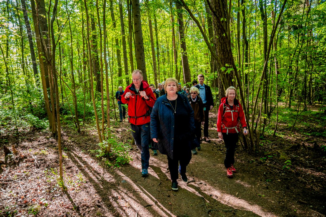 Oslo 20200518.
Statsminister Erna Solberg ble med turleder Torbjørn Aas og Berit Loennechen Feiring når DNT igjen arrangerte seniortur i Kongeskogen på Bygdøy etter å ha vært strengt ned på grunn av Korona-krisen.
Foto: Stian Lysberg Solum / NTB Oslo 20200518.
Statsminister Erna Solberg ble med turleder Torbjørn Aas og Berit Loennechen Feiring når DNT igjen arrangerte seniortur i Kongeskogen på Bygdøy etter å ha vært strengt ned på grunn av Korona-krisen.
Foto: Stian Lysberg Solum / NTB