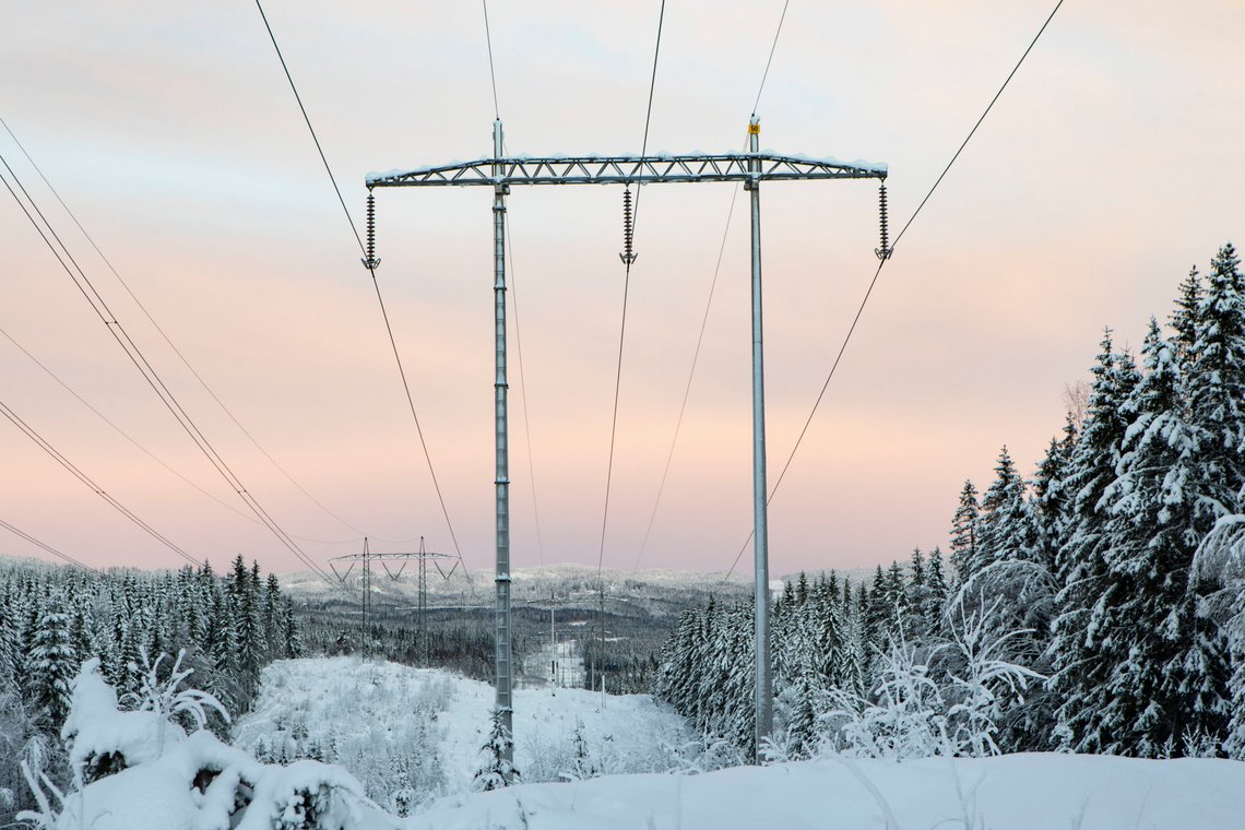 Nittedal 20210112.
Høyspentledning på den såkalte Vinstralinja i Lillomarka i Nittedal. Kraftledningen går fra Vinstra i Gudbrandsdalen til Oslo.
Foto: Paul Kleiven / NTB Nittedal 20210112.
Høyspentledning på den såkalte Vinstralinja i Lillomarka i Nittedal. Kraftledningen går fra Vinstra i Gudbrandsdalen til Oslo.
Foto: Paul Kleiven / NTB