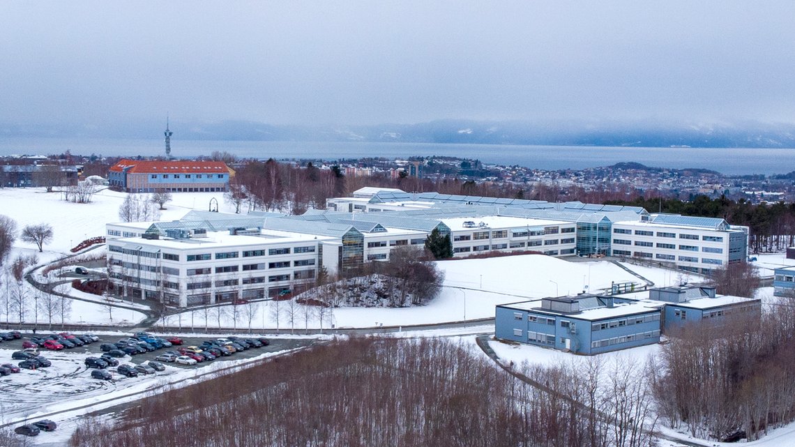 Trondheim 20210317.
Dronebilder av Dragvoll campus - NTNU i Trondheim med Tyholttårnet bak.
Foto: Gorm Kallestad / NTB Trondheim 20210317.
Dronebilder av Dragvoll campus - NTNU i Trondheim med Tyholttårnet bak.
Foto: Gorm Kallestad / NTB