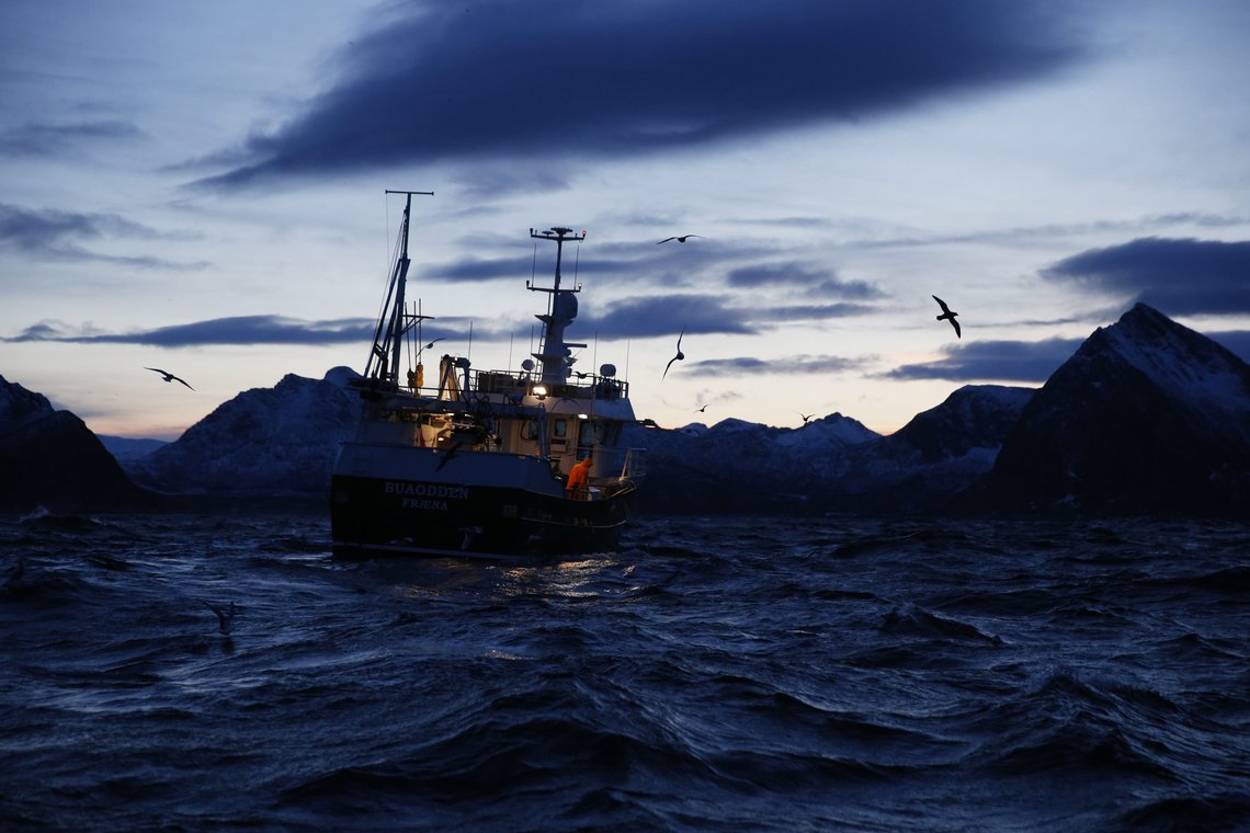 Her sees 13 meter lange Buaodden på skreifiske ved Gryllefjord på utsiden av Senja, en fin januardag i 2015. Kan en forvente at fiskere i en evig kamp med elementene skal måtte snakke engelsk når livsutkommet og livet står på spill? Foto: Cornelius Poppe / NTB Her sees 13 meter lange Buaodden på skreifiske ved Gryllefjord på utsiden av Senja, en fin januardag i 2015. Kan en forvente at fiskere i en evig kamp med elementene skal måtte snakke engelsk når livsutkommet og livet står på spill? Foto: Cornelius Poppe / NTB