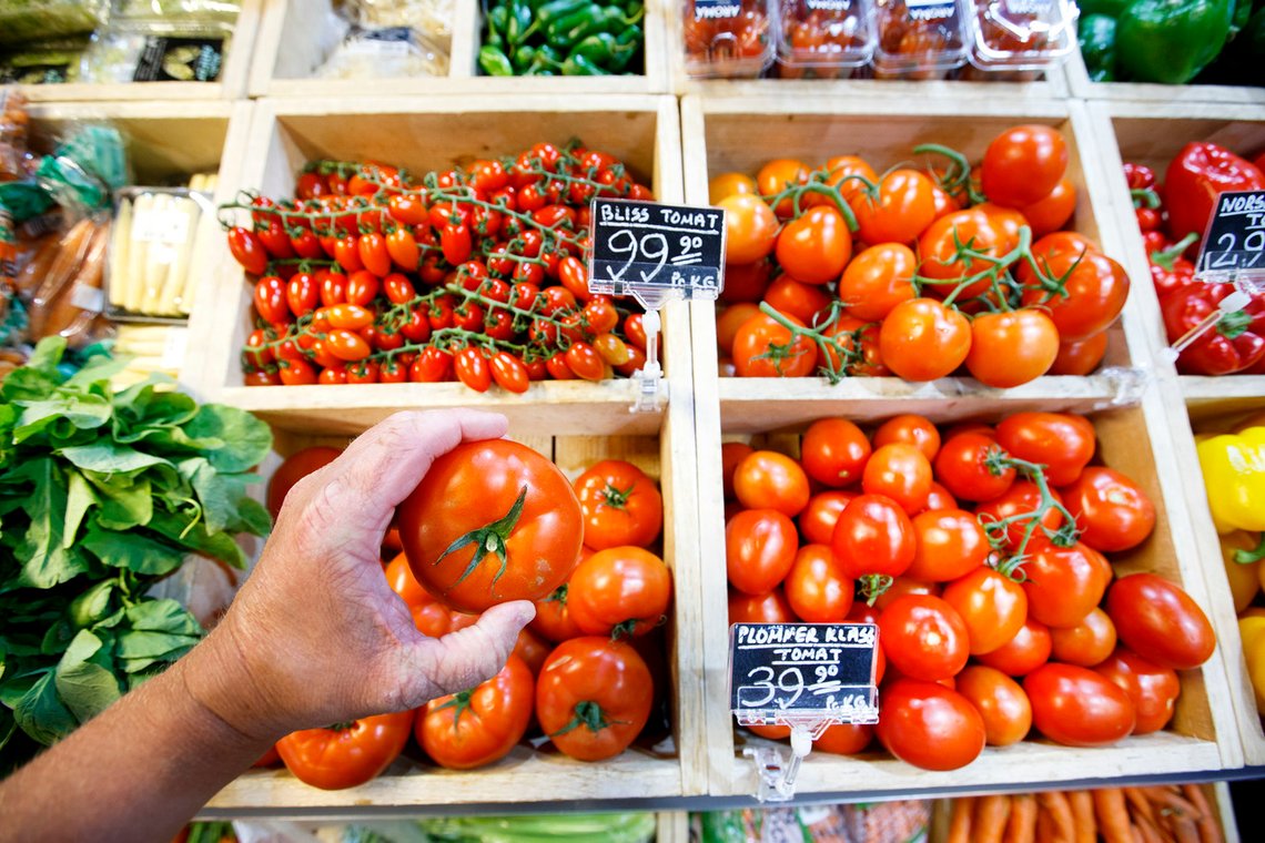 Det ligger mye hardt arbeid bak tomatene du finner i norske butikker. Kanskje en tidligere ambassadør på 77 år har plukket de neste tomatene du kjøper? Foto: Gorm Kallestad / NTB Det ligger mye hardt arbeid bak tomatene du finner i norske butikker. Kanskje en tidligere ambassadør på 77 år har plukket de neste tomatene du kjøper? Foto: Gorm Kallestad / NTB