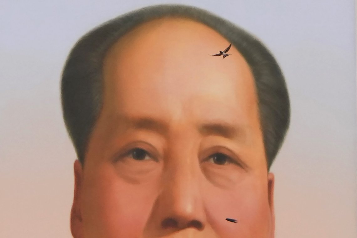A swallow flies near the portrait of late Chinese leader Mao Zedong during a ceremony to mark the 100th anniversary of the founding of the ruling Chinese Communist Party at Tiananmen Gate in Beijing Thursday, July 1, 2021. (AP Photo/Ng Han Guan) A swallow flies near the portrait of late Chinese leader Mao Zedong during a ceremony to mark the 100th anniversary of the founding of the ruling Chinese Communist Party at Tiananmen Gate in Beijing Thursday, July 1, 2021. (AP Photo/Ng Han Guan)