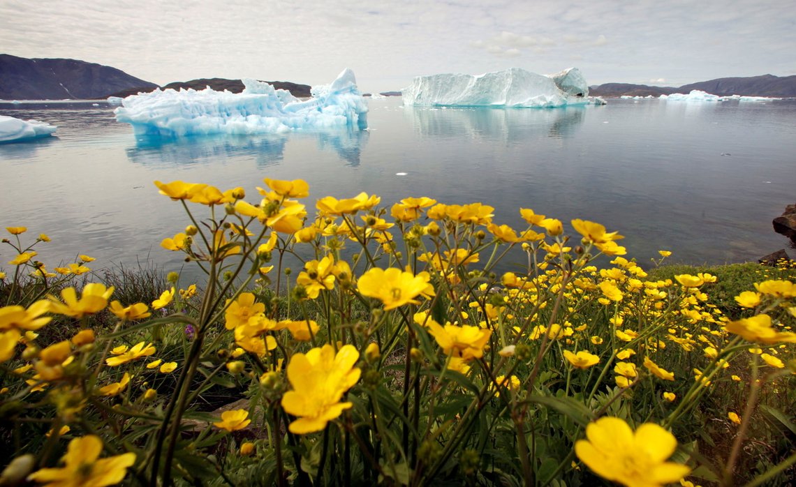 Grønland stanser all oljeleting, klimaorganisassjonene jubler. Illustrasjonsfoto: REUTERS/ Bob Strong/ NTB Grønland stanser all oljeleting, klimaorganisassjonene jubler. Illustrasjonsfoto: REUTERS/ Bob Strong/ NTB