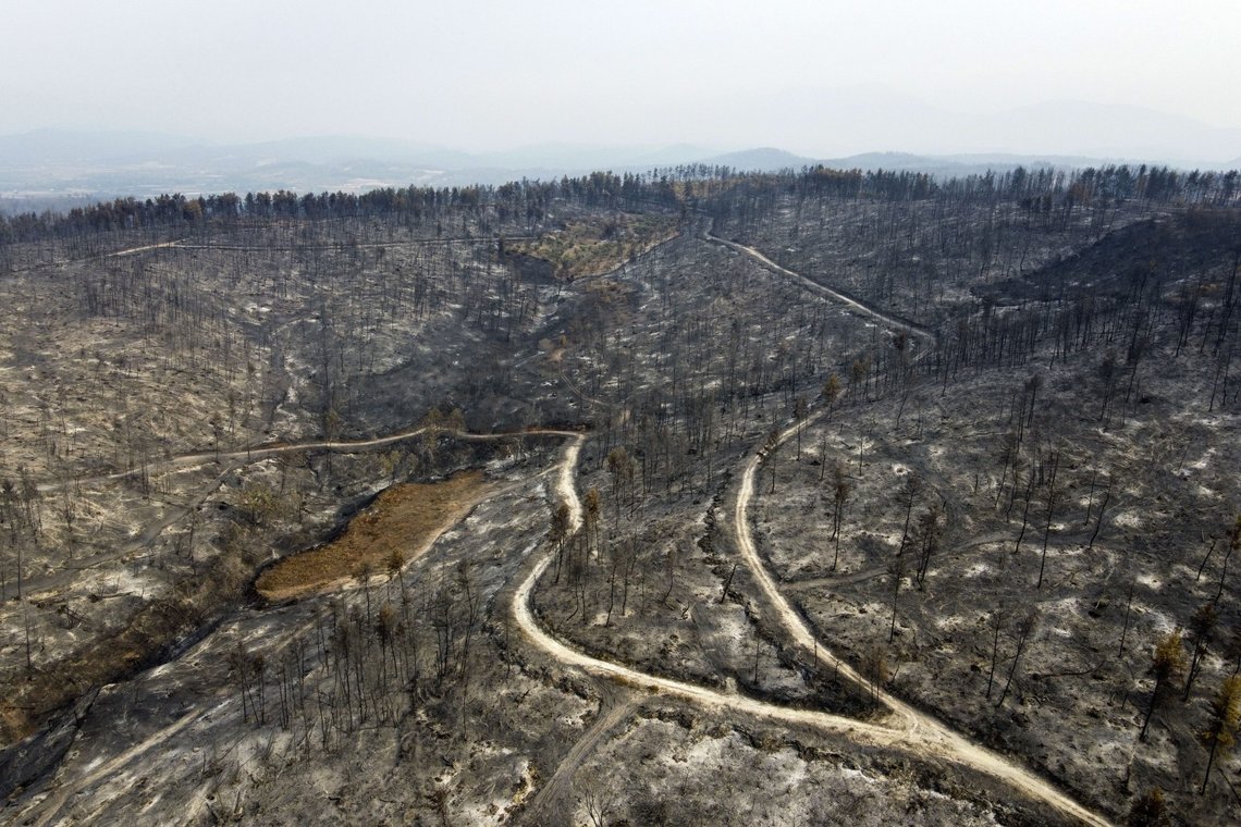 A burnt forest in Agia Anna village on Evia island, about 181 kilometers (113 miles) north of Athens, Greece, Wednesday, Aug. 11, 2021. Hundreds of firefighters from across Europe and the Middle East worked alongside Greek colleagues in rugged terrain Wednesday to contain flareups of the huge wildfires that ravaged Greece's forests for a week, destroying homes and forcing evacuations. (AP Photo/Michael Varaklas) A burnt forest in Agia Anna village on Evia island, about 181 kilometers (113 miles) north of Athens, Greece, Wednesday, Aug. 11, 2021. Hundreds of firefighters from across Europe and the Middle East worked alongside Greek colleagues in rugged terrain Wednesday to contain flareups of the huge wildfires that ravaged Greece's forests for a week, destroying homes and forcing evacuations. (AP Photo/Michael Varaklas)