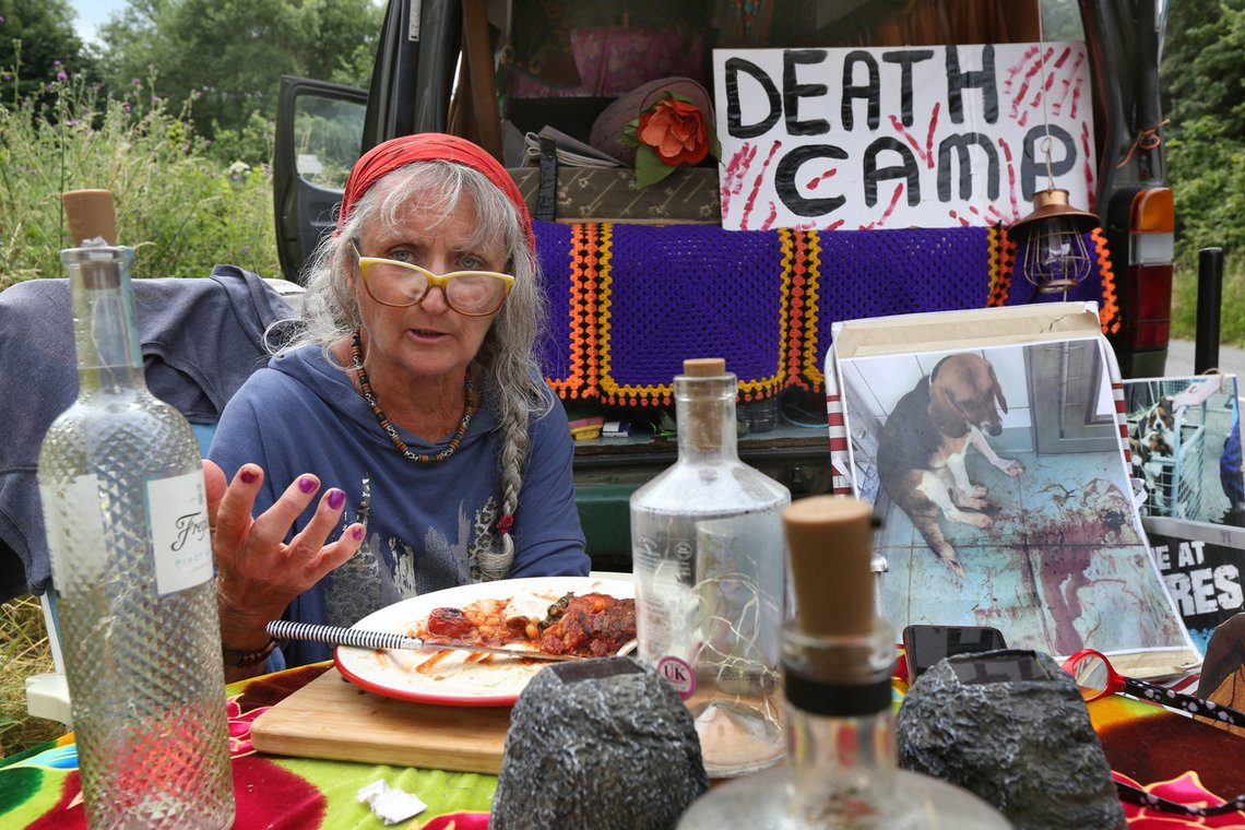 Polly nyter sin veganske frokost i forbindelse med en demonstrasjon for noen uker siden. Målet var å frigjøre hundene fra Camp Beagle, som demonstrantene mener driver ren industriell produksjon av hundevalper. Foto: Martin Pope /SOPA Images /Shutterstock /NTB Polly nyter sin veganske frokost i forbindelse med en demonstrasjon for noen uker siden. Målet var å frigjøre hundene fra Camp Beagle, som demonstrantene mener driver ren industriell produksjon av hundevalper. Foto: Martin Pope /SOPA Images /Shutterstock /NTB