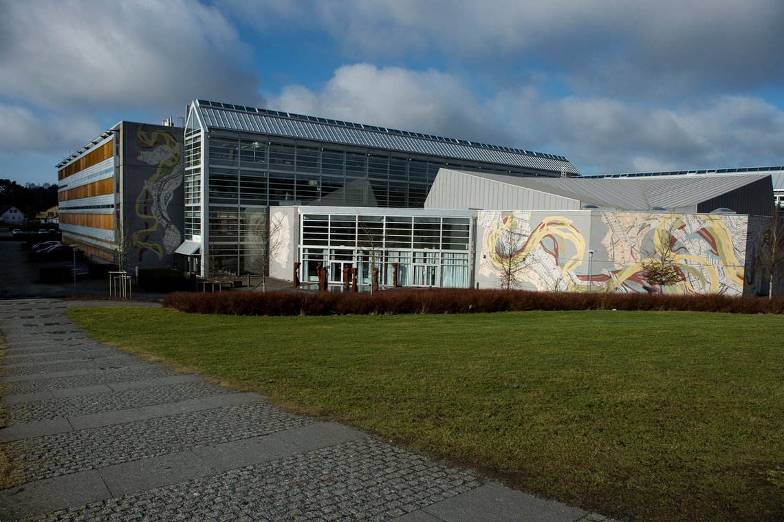 Universitetet i Stavanger. Her har man eksperter på forventning og folk som syns det er vanskelig å definere kjønn. Men debatt er uønsket, humanoria har "dekonstruert" alt, så derfor bør det være game over. Foto: Carina Johansen / NTB Universitetet i Stavanger. Her har man eksperter på forventning og folk som syns det er vanskelig å definere kjønn. Men debatt er uønsket, humanoria har "dekonstruert" alt, så derfor bør det være game over. Foto: Carina Johansen / NTB