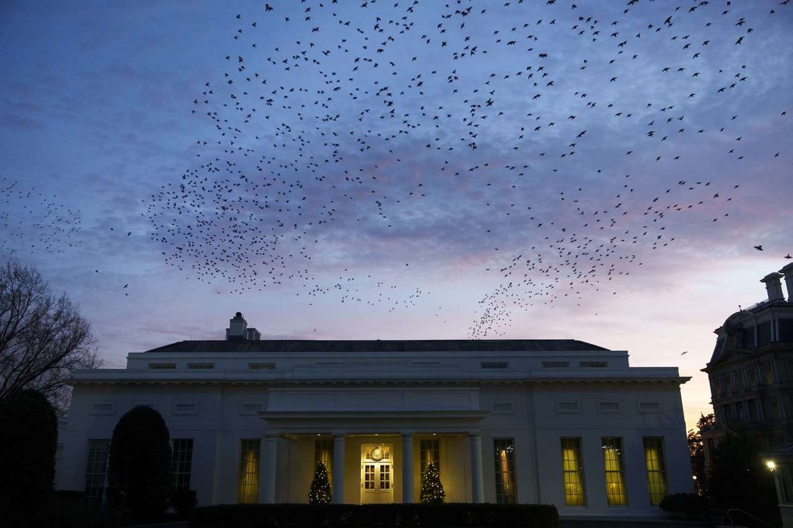 Det er dyster stemning i deler av staben til president Joe Biden, ifølge Politico. Foto: Drew Angerer/ Getty Images/ AFP/ NTB Det er dyster stemning i deler av staben til president Joe Biden, ifølge Politico. Foto: Drew Angerer/ Getty Images/ AFP/ NTB