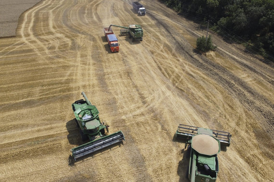 Russiske bønder høster hvete ved landsbyen Tbilisskaja i Russland i juli i fjor. Arkivfoto: Vitalij Timkiv, AP / NTB. Russiske bønder høster hvete ved landsbyen Tbilisskaja i Russland i juli i fjor. Arkivfoto: Vitalij Timkiv, AP / NTB.