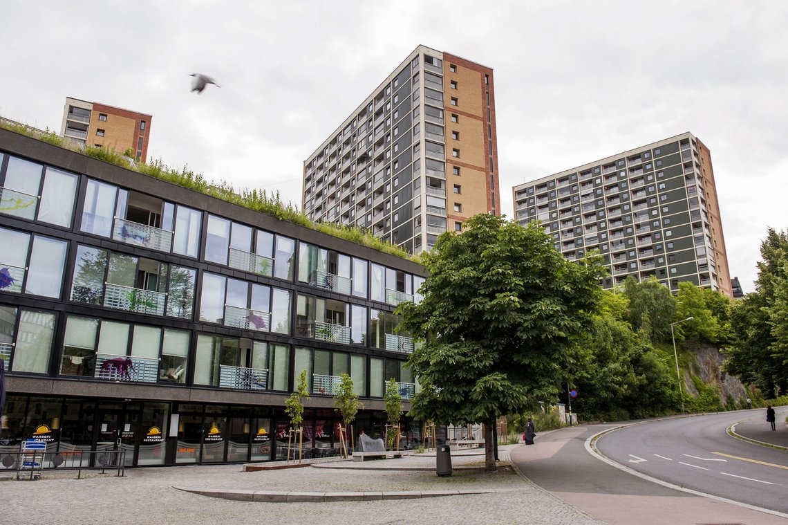 Oslo 20130716.
Illustrasjonsbilder av boliger. Blokkene på Enerhaugen.
Foto: Fredrik Varfjell / NTB Oslo 20130716.
Illustrasjonsbilder av boliger. Blokkene på Enerhaugen.
Foto: Fredrik Varfjell / NTB